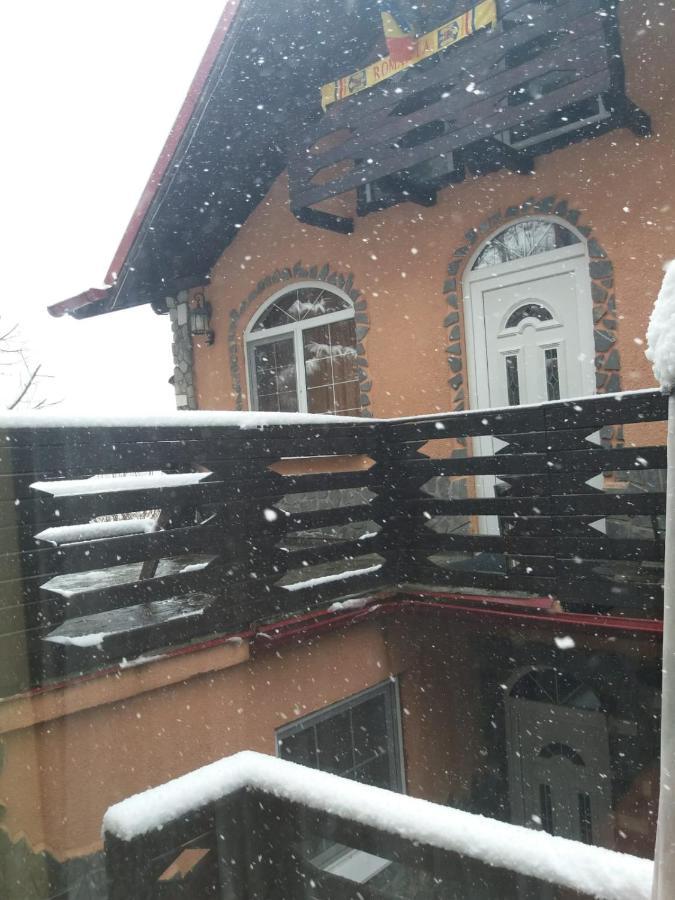 Casa Crivimex Villa Azuga Bagian luar foto